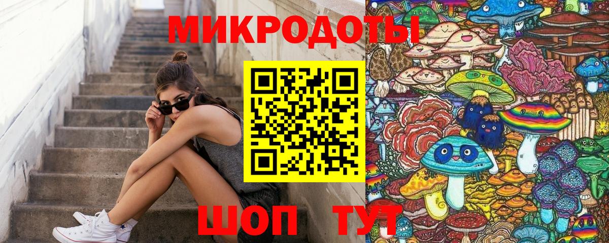Галлюциногенные грибы Psilocybe  купить наркотик  Новошахтинск  Вход с VPN 